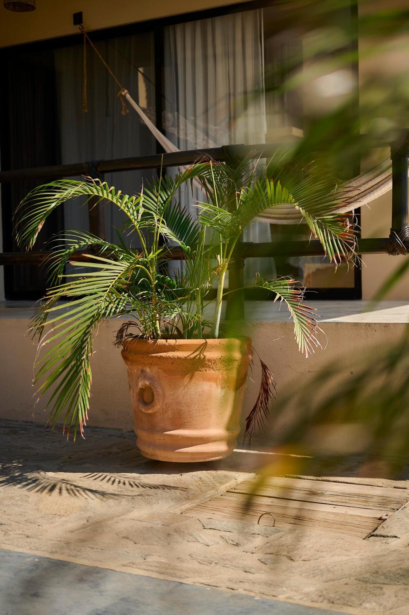 Lya Beach House Santa Maria Colotepec Exterior photo
